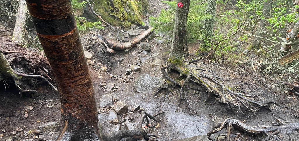 Mud Season in the&nbsp;Adirondacks