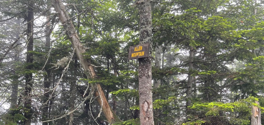 ADK 46: Allen&nbsp;Mountain