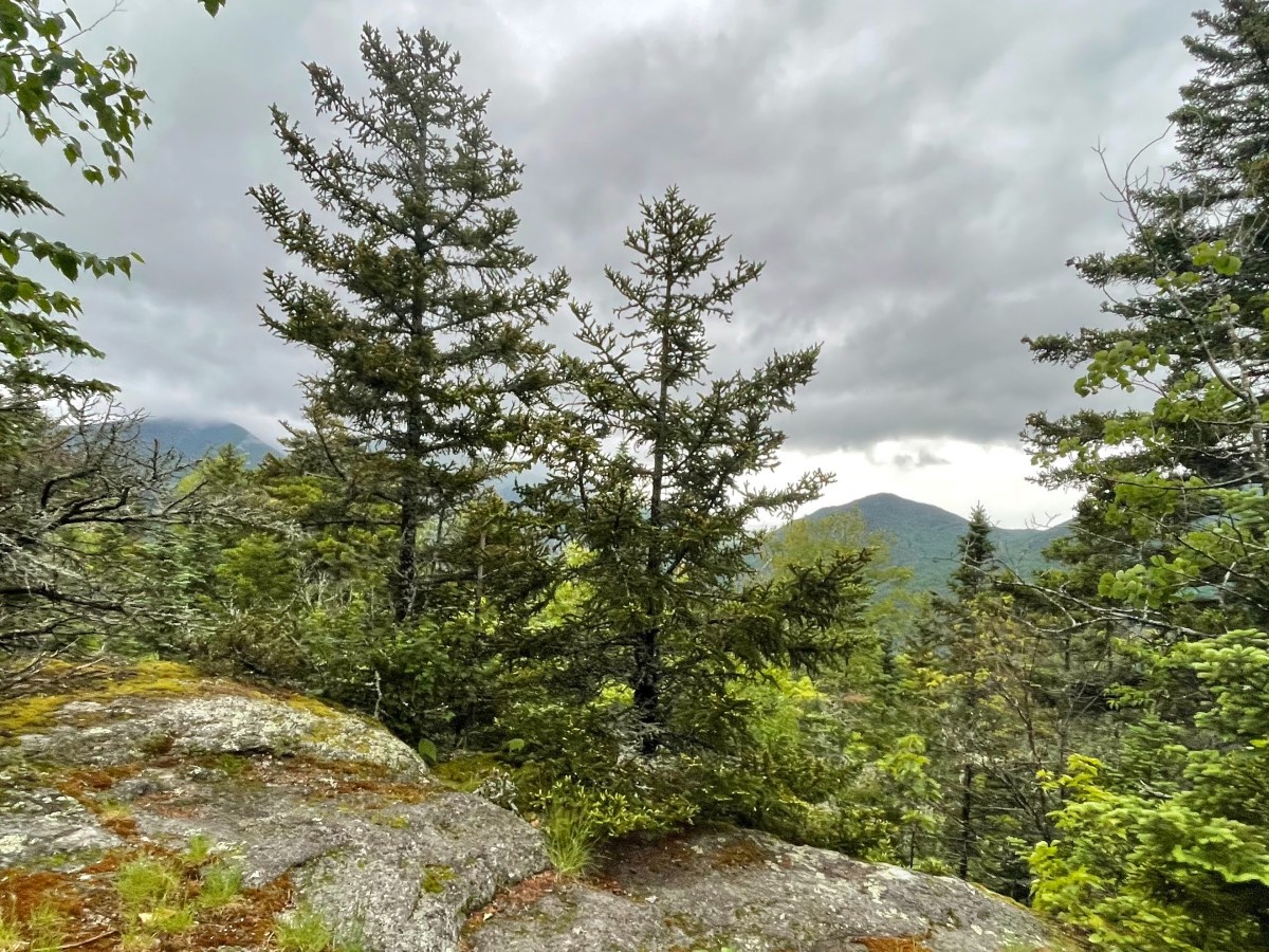 ADK 46: Lower&nbsp;Wolfjaw