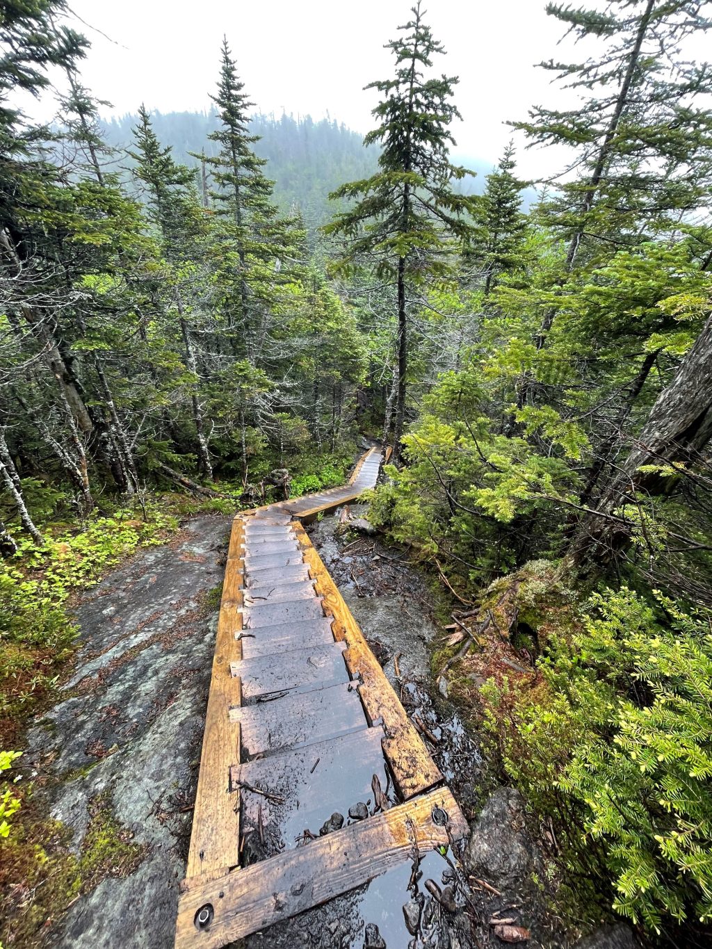 ADK 46: Mount&nbsp;Colden