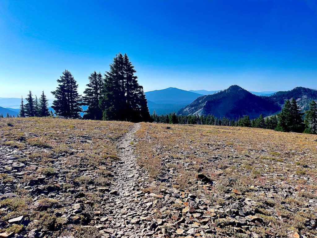 PCT SOBO 2022 Entry 11: Bigger miles and bigger&nbsp;smiles