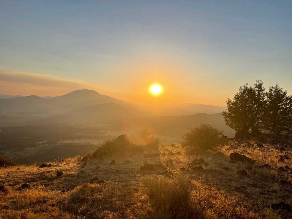 PCT SOBO 2022 Entry 14: Halfway&nbsp;there!