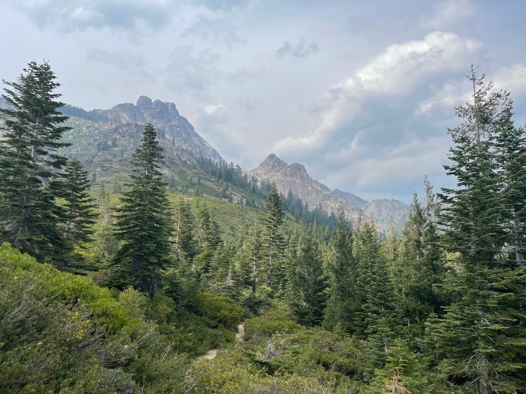 PCT SOBO 2022 Entry 15: Mountain Lions, Mama bears, and resupply boxes. Oh&nbsp;my!