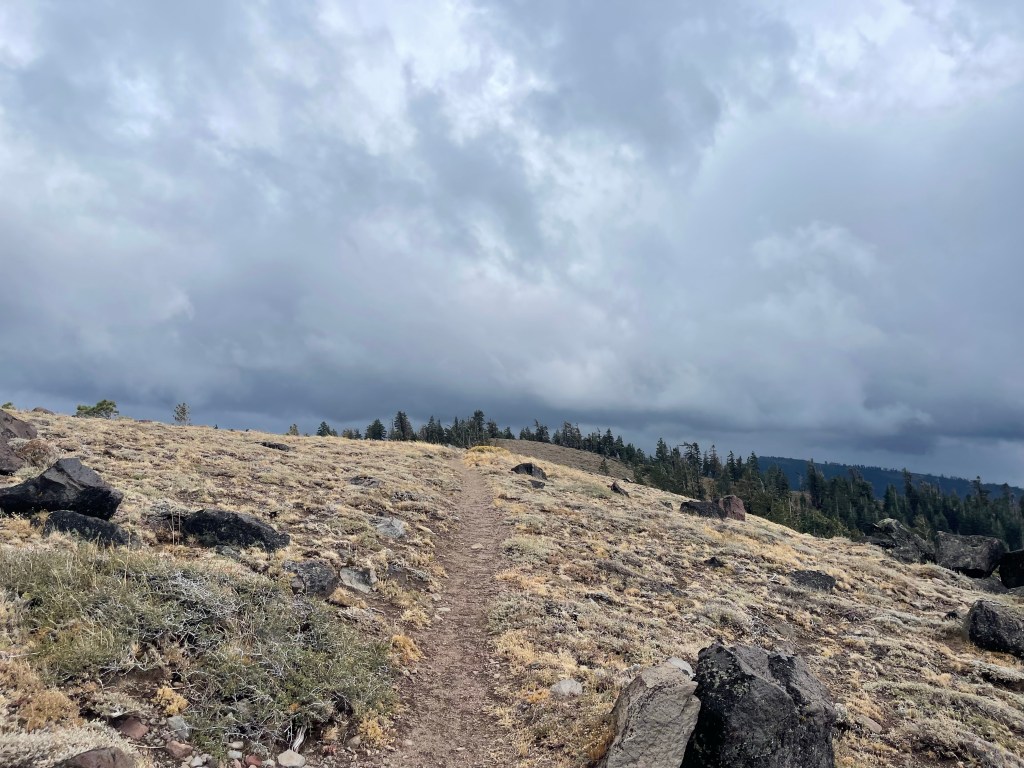 PCT SOBO 2022 Entry 16: The end of Northern&nbsp;California