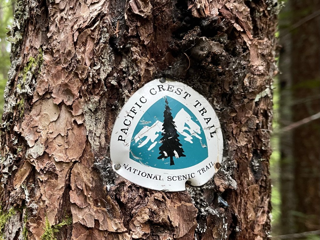 PCT SOBO 2022 Entry 19: I’ll be&nbsp;back