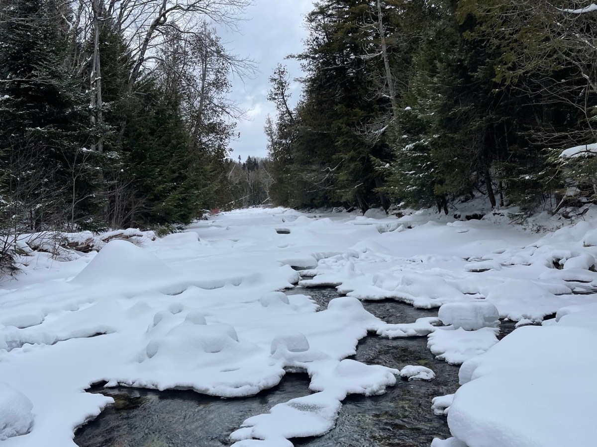 ADK Winter 46: Street and&nbsp;Nye