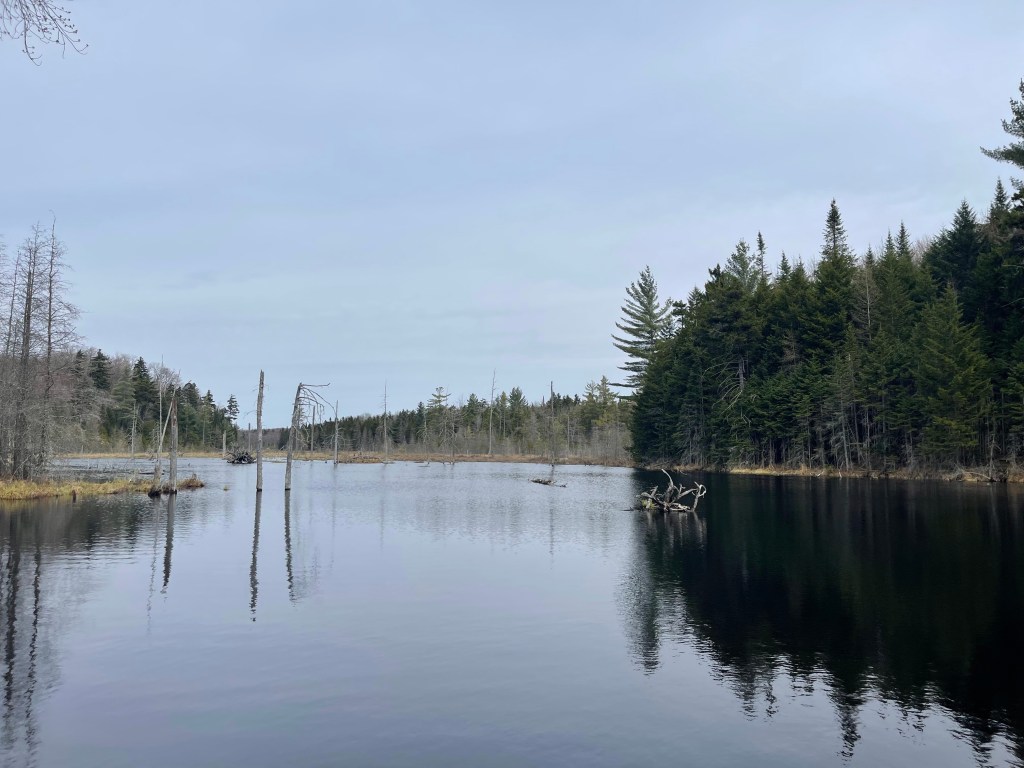 The last of the Cranberry Lake&nbsp;50