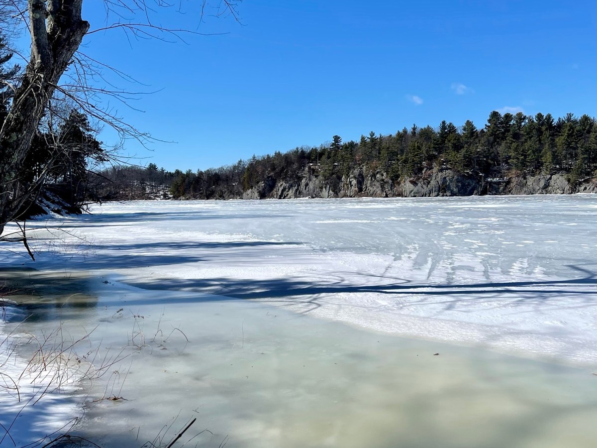 Butterfield Lake Landing Reserve&nbsp;Trail