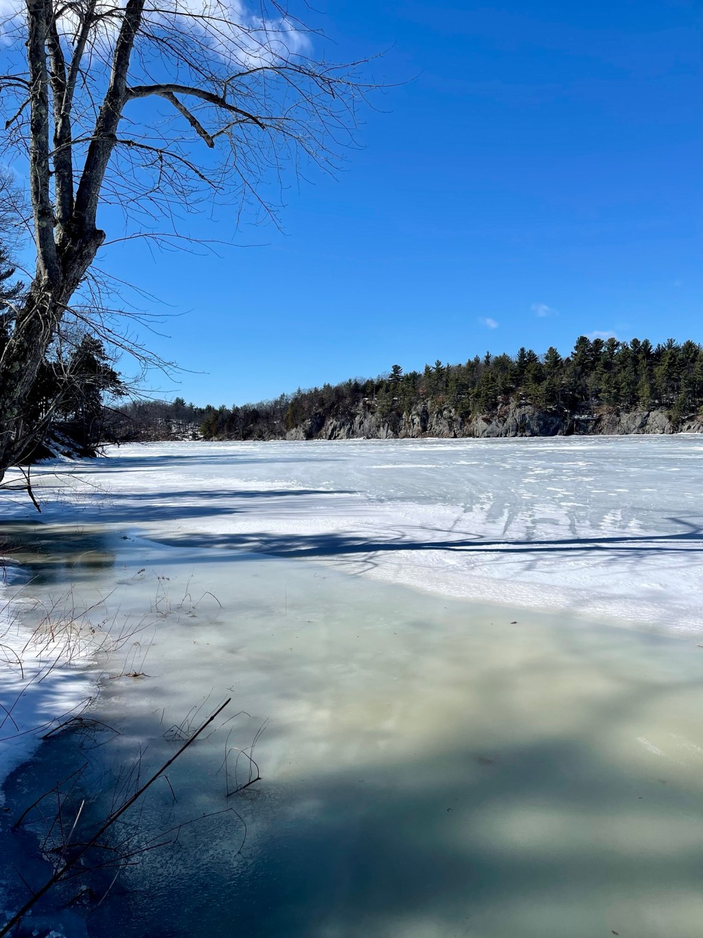 Butterfield Lake Landing Reserve&nbsp;Trail