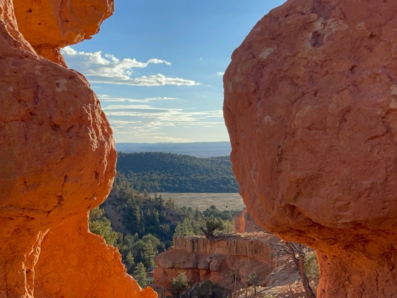 Grand Canyon, Bryce Canyon, and Red&nbsp;Canyon